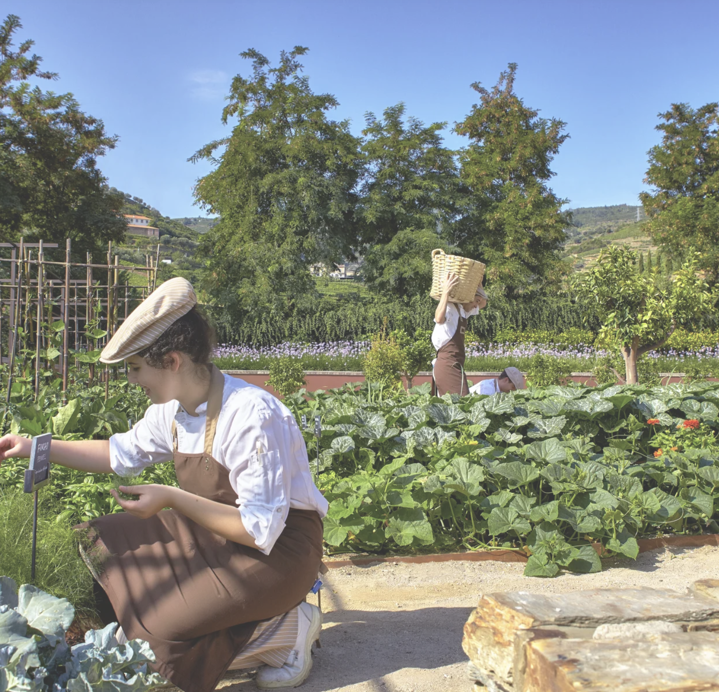 Screenshot 2025-02-07 at 6.51.00 AM.png