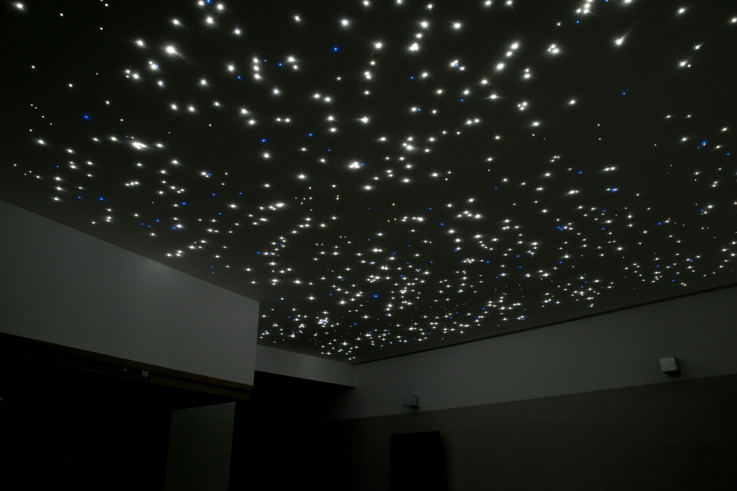 Screenshot 2023-12-06 at 12.53.56 PM.png