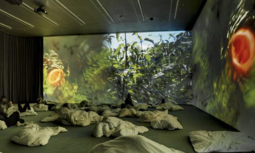 Screenshot 2023-10-26 at 11.31.22 AM.png