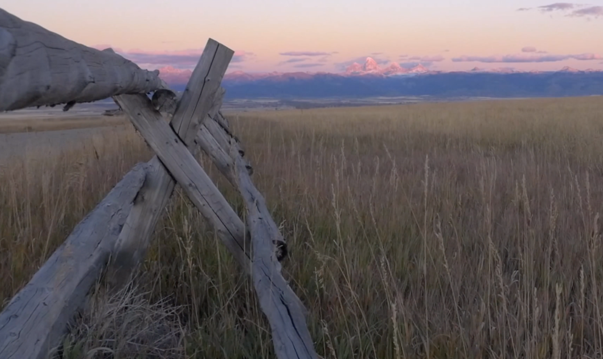 Screenshot 2024-01-12 at 10.15.34 AM.png