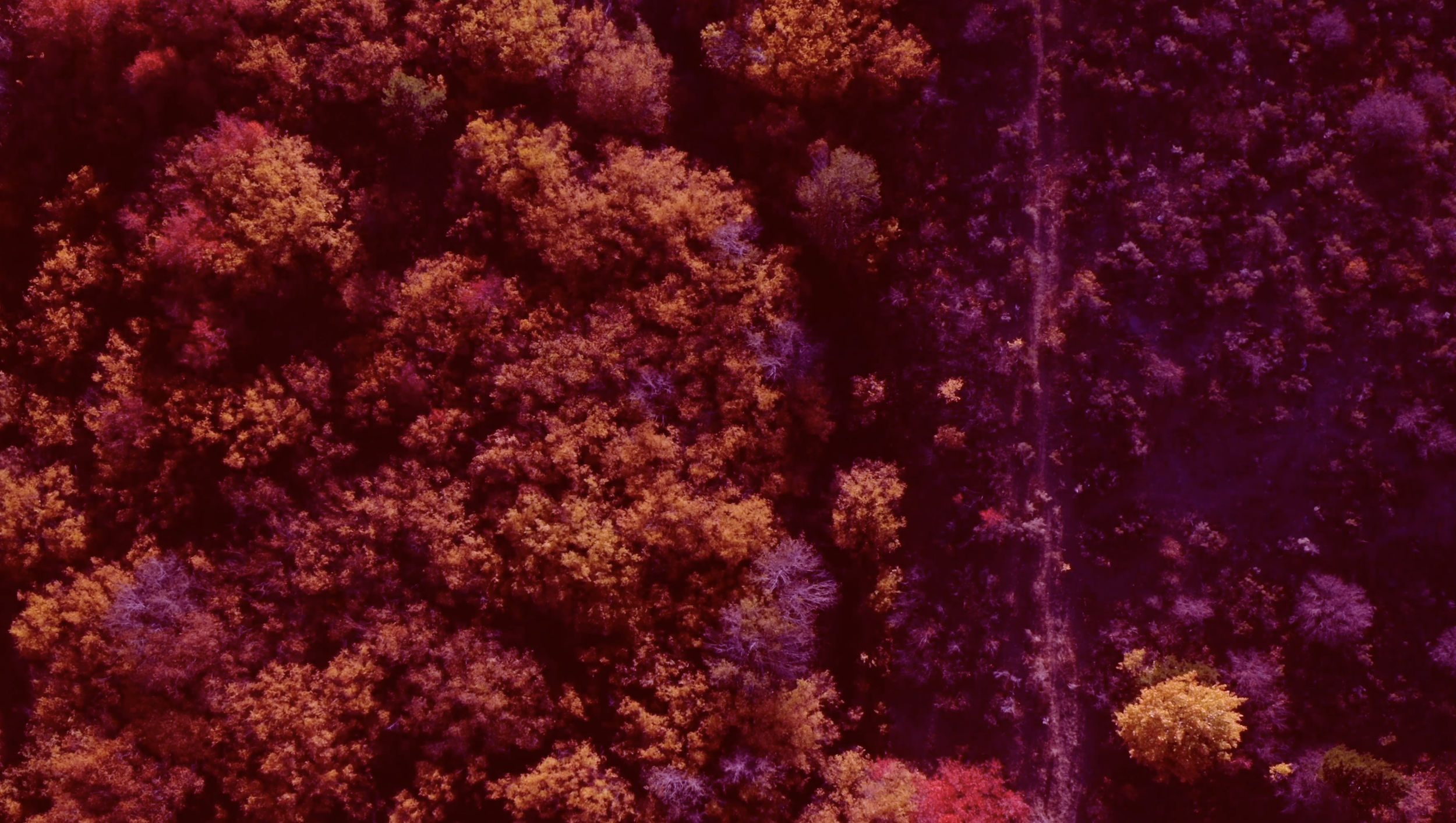 Screenshot 2024-01-12 at 10.16.05 AM.png