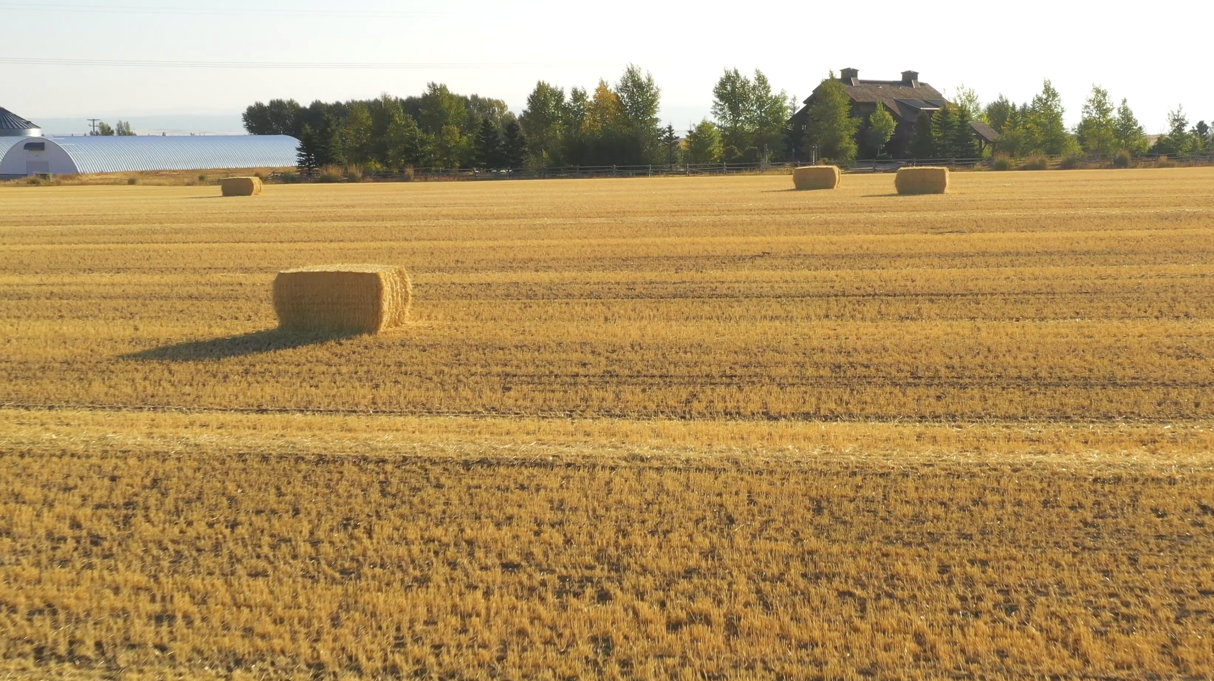 Screenshot 2024-01-12 at 10.17.26 AM.png