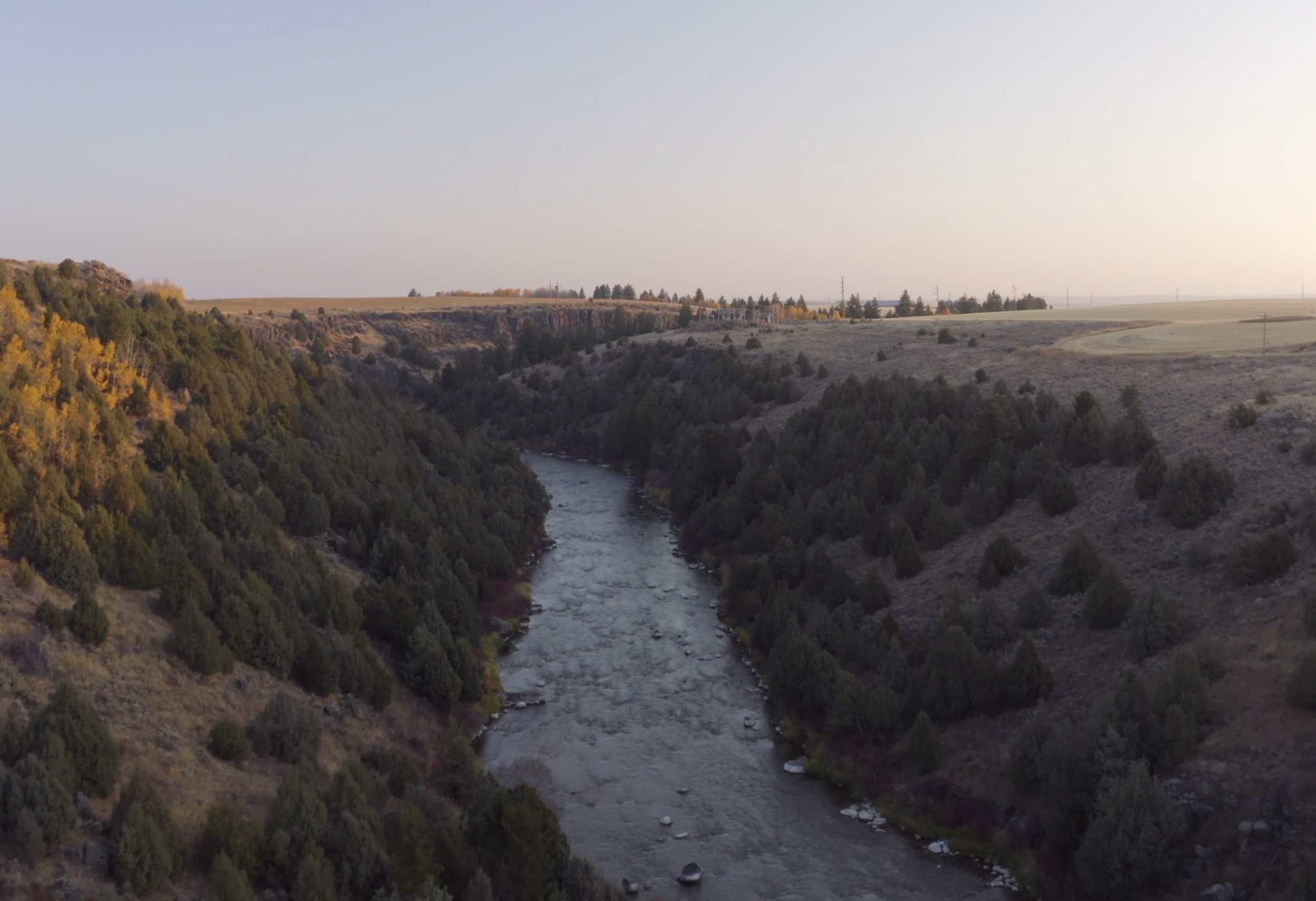 Screenshot 2024-01-12 at 10.17.54 AM.png