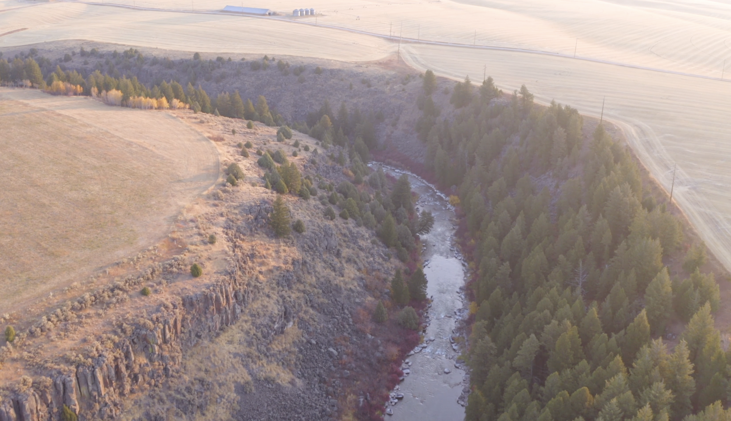 Screenshot 2024-01-12 at 10.16.57 AM.png