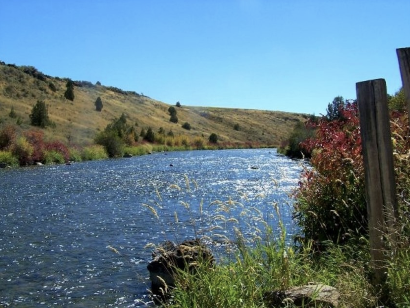 Screenshot 2024-01-12 at 10.20.10 AM.png