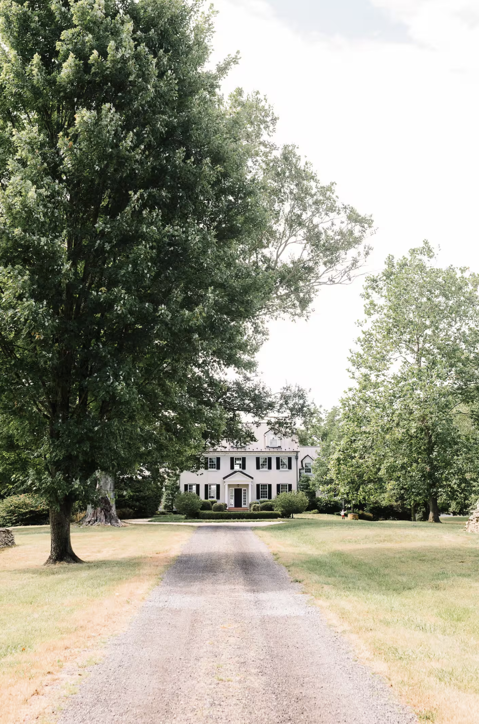 Screenshot 2025-02-23 at 11.19.10 AM.png