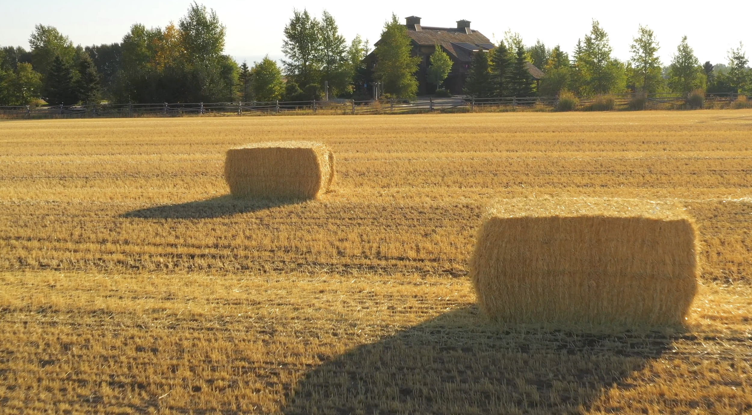 Screenshot 2024-01-12 at 10.17.41 AM.png