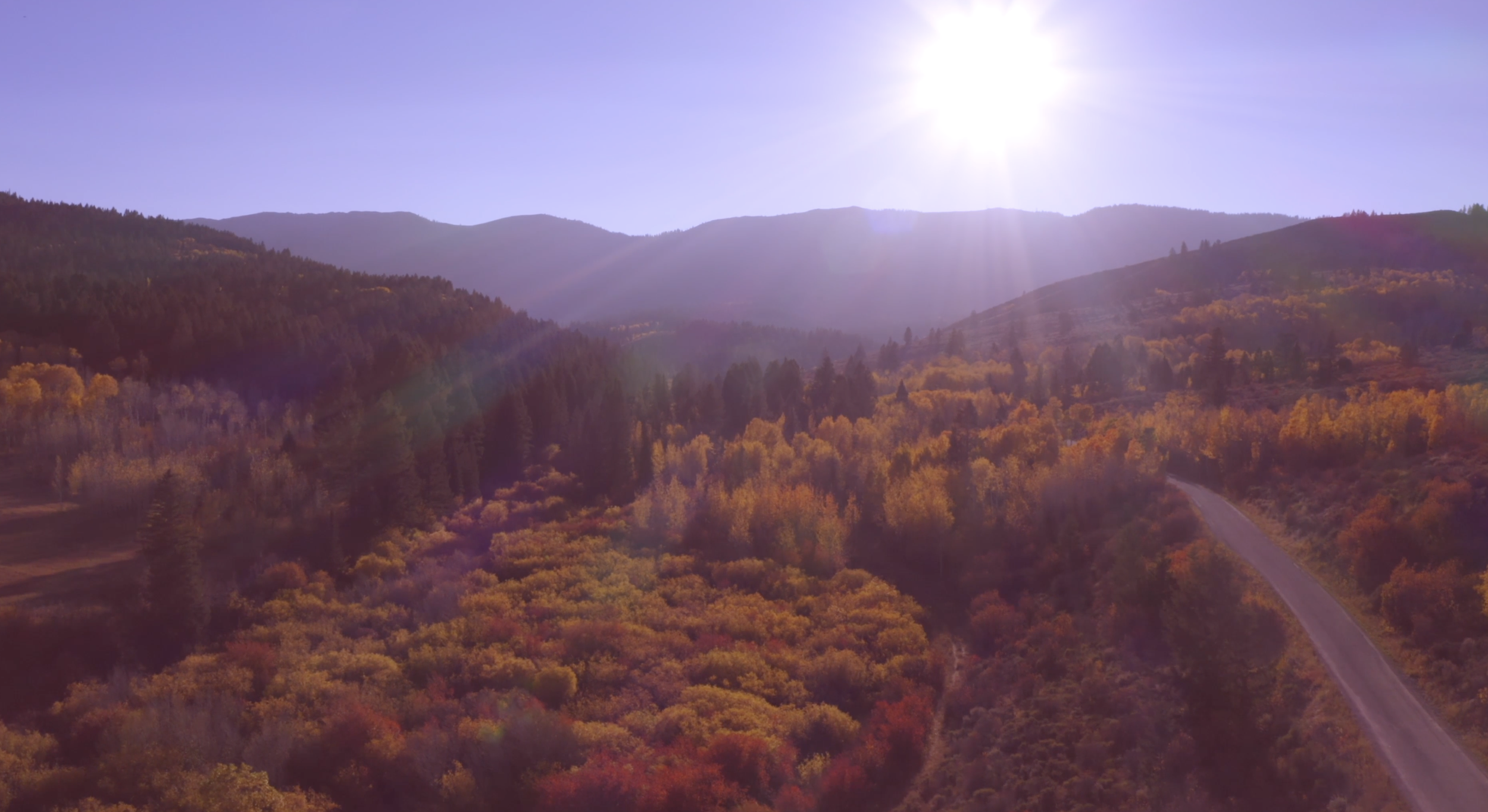 Screenshot 2024-01-12 at 10.15.48 AM.png