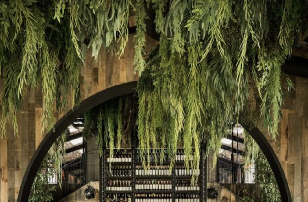 Screenshot 2023-10-26 at 11.19.33 AM.png