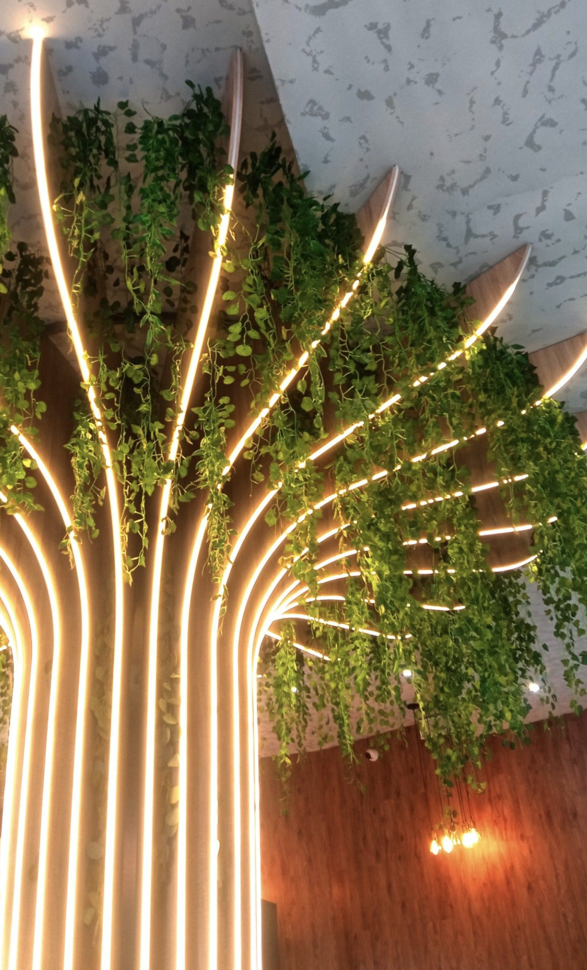 Screenshot 2024-01-05 at 3.26.08 PM.png