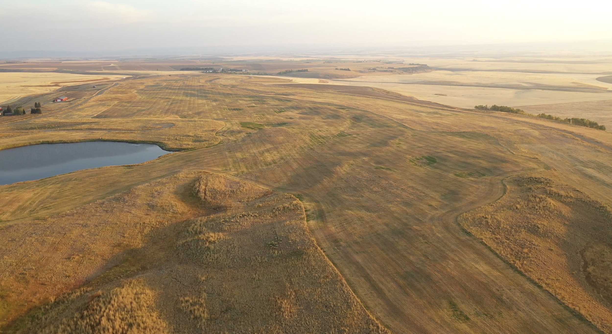 Screenshot 2024-01-12 at 10.15.11 AM.png