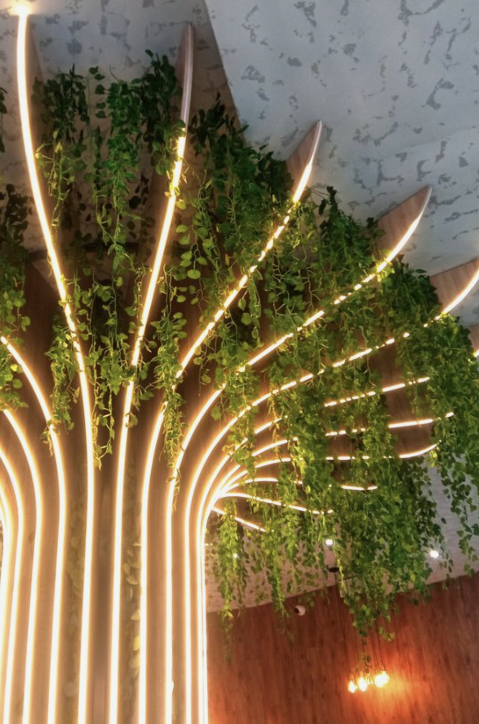 Screenshot 2024-01-05 at 3.26.00 PM.png