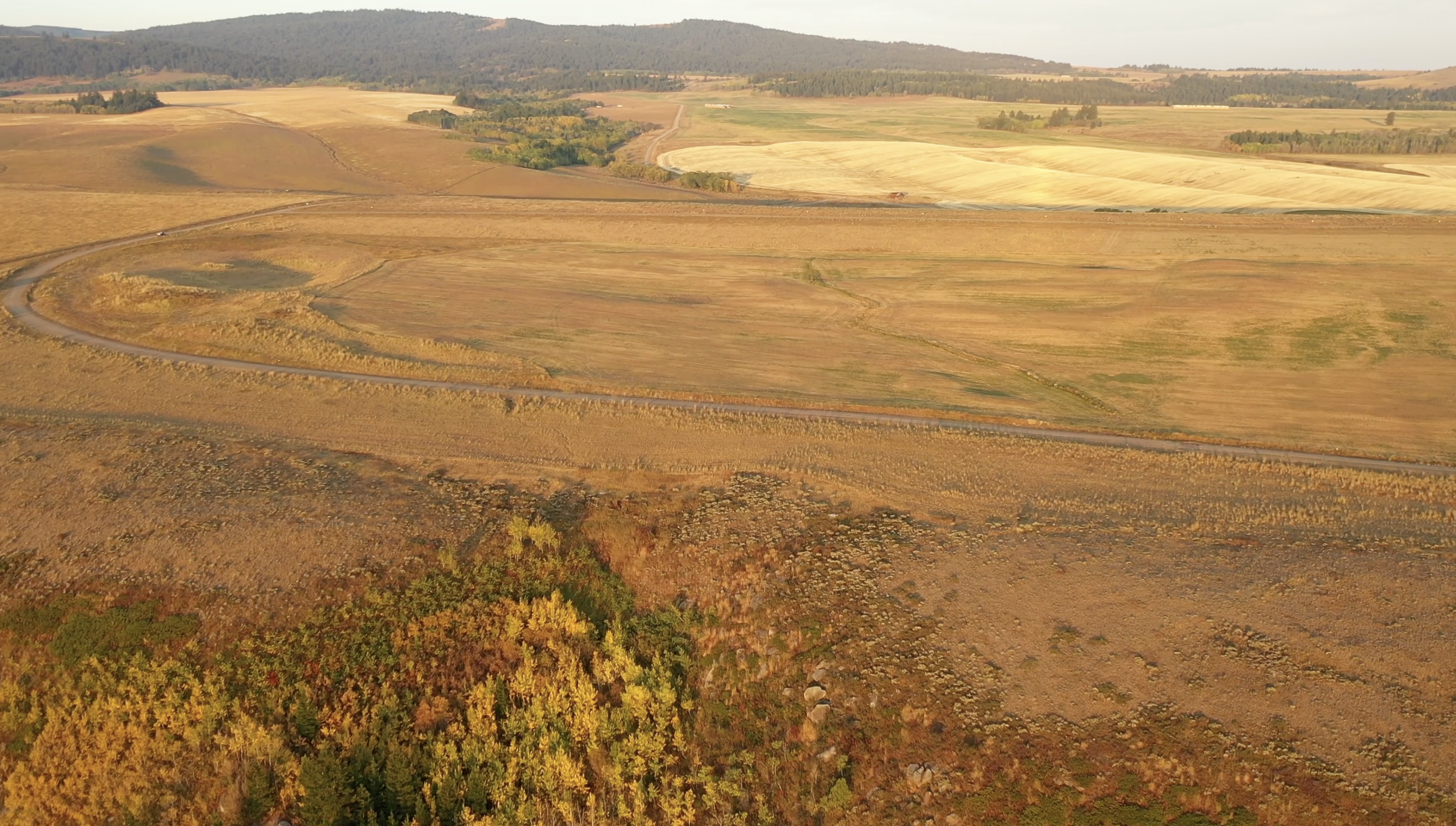 Screenshot 2024-01-12 at 10.14.52 AM.png