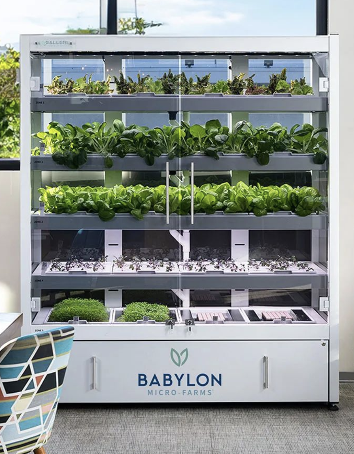 Screenshot 2025-08-13 at 4.33.05 PM.png