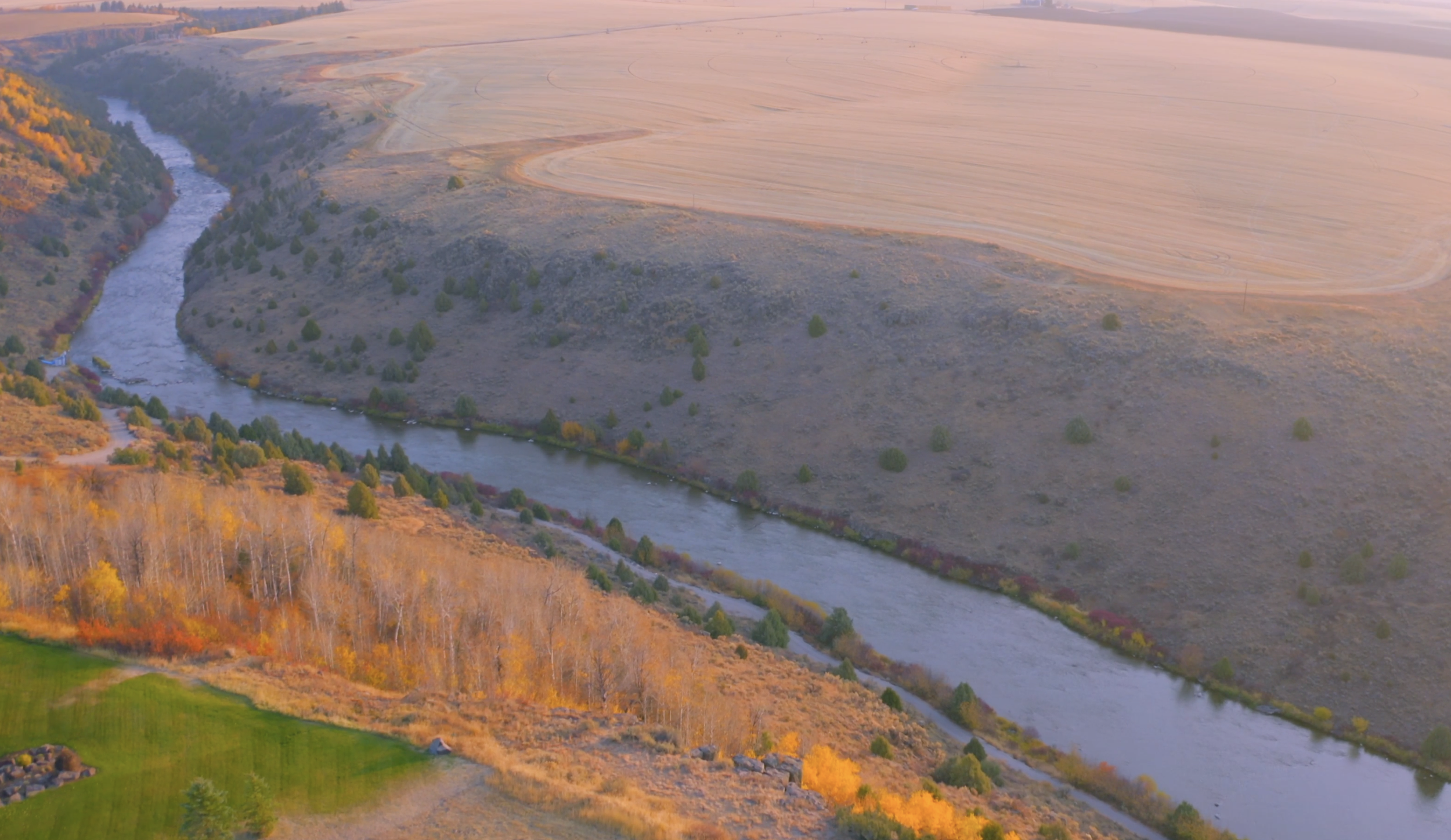 Screenshot 2024-01-12 at 10.17.10 AM.png