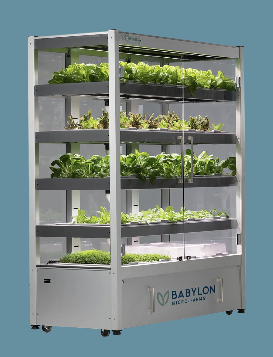 Screenshot 2025-12-18 at 2.46.05 PM.png