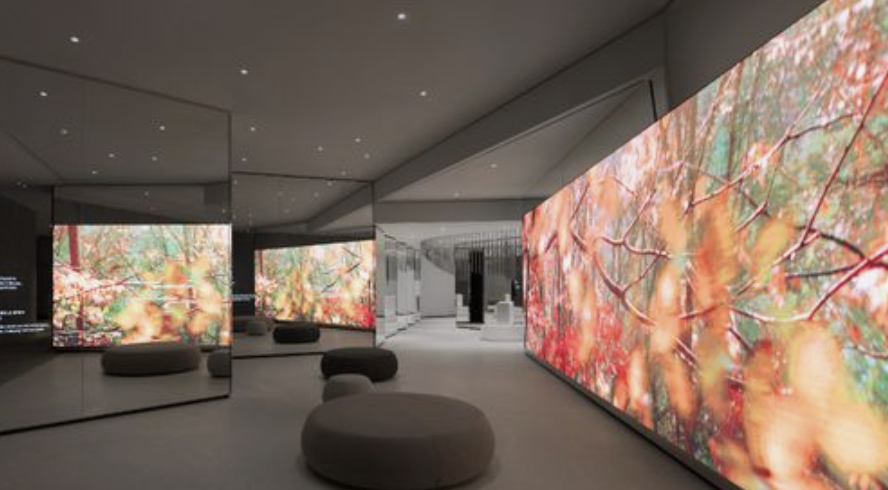 Screenshot 2023-10-26 at 11.28.29 AM.png