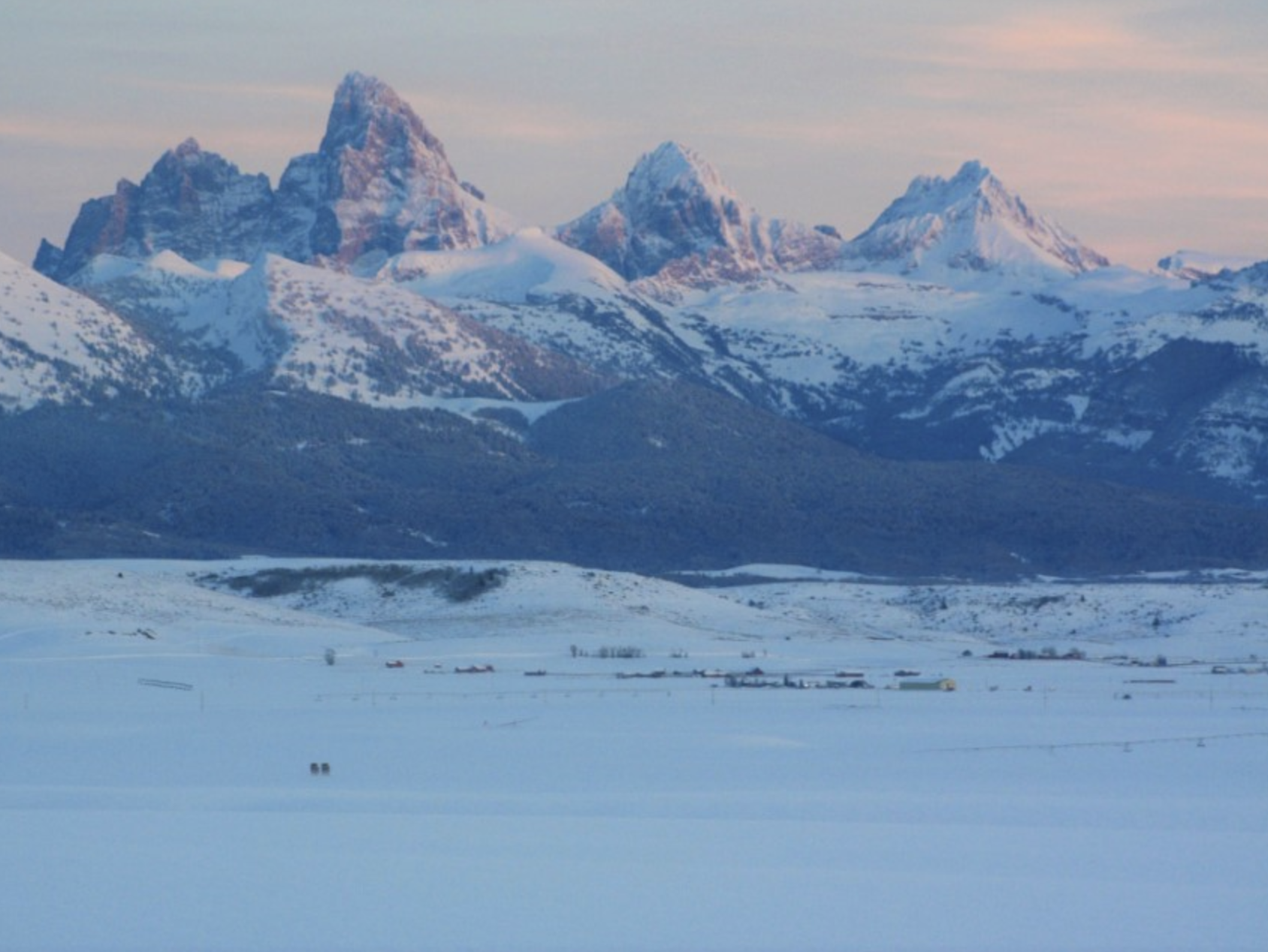 Screenshot 2024-01-12 at 10.20.38 AM.png