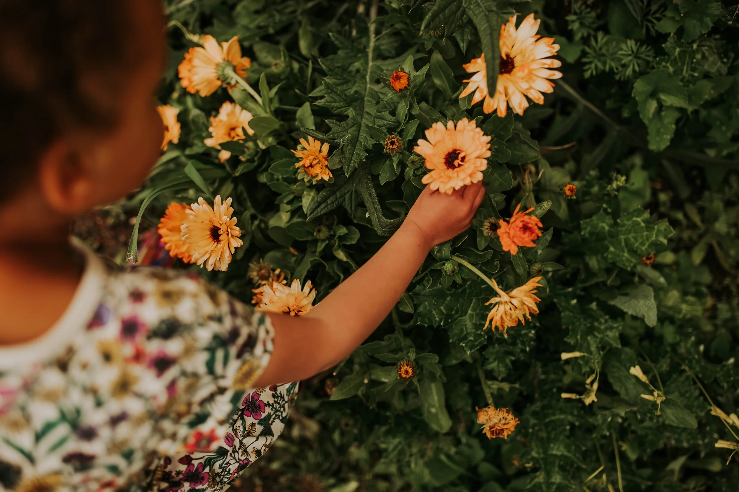 Root & Bloom Playgarden