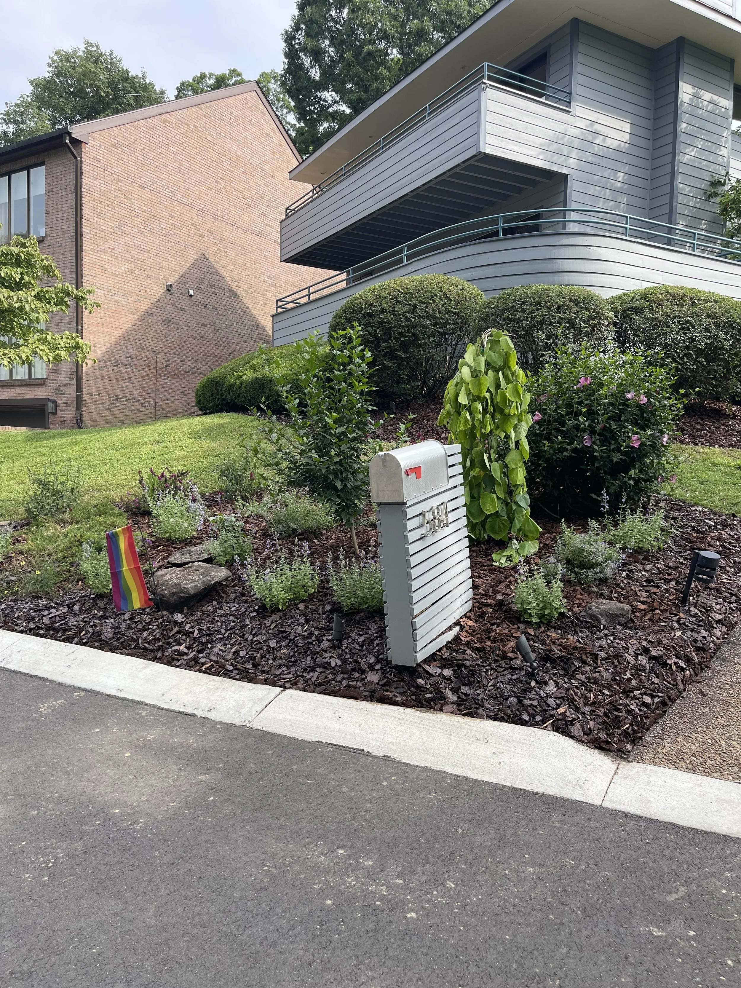 A residential front yard landscaped with various shrubs and plants, with a gray mailbox near the curb, and multi-story houses in the background. A small rainbow pride flag is also visible in the garden bed.