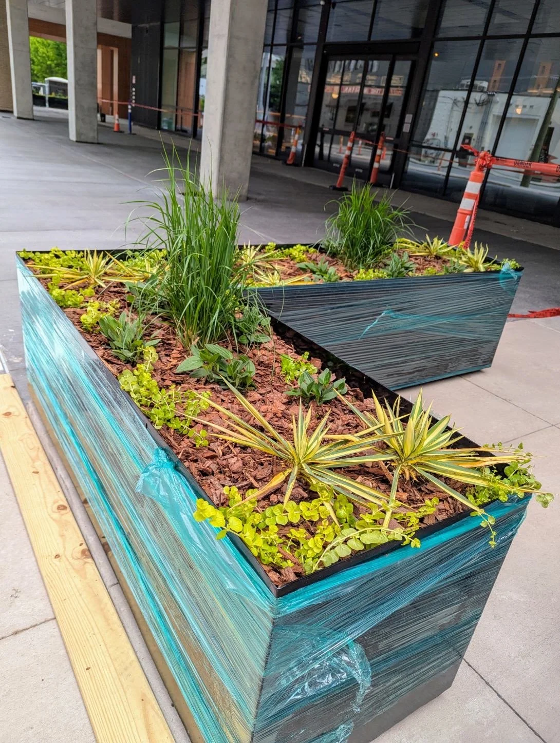Large modern rectangular planter with various green plants and succulents on a sidewalk outside a building under construction, wrapped in protective plastic.