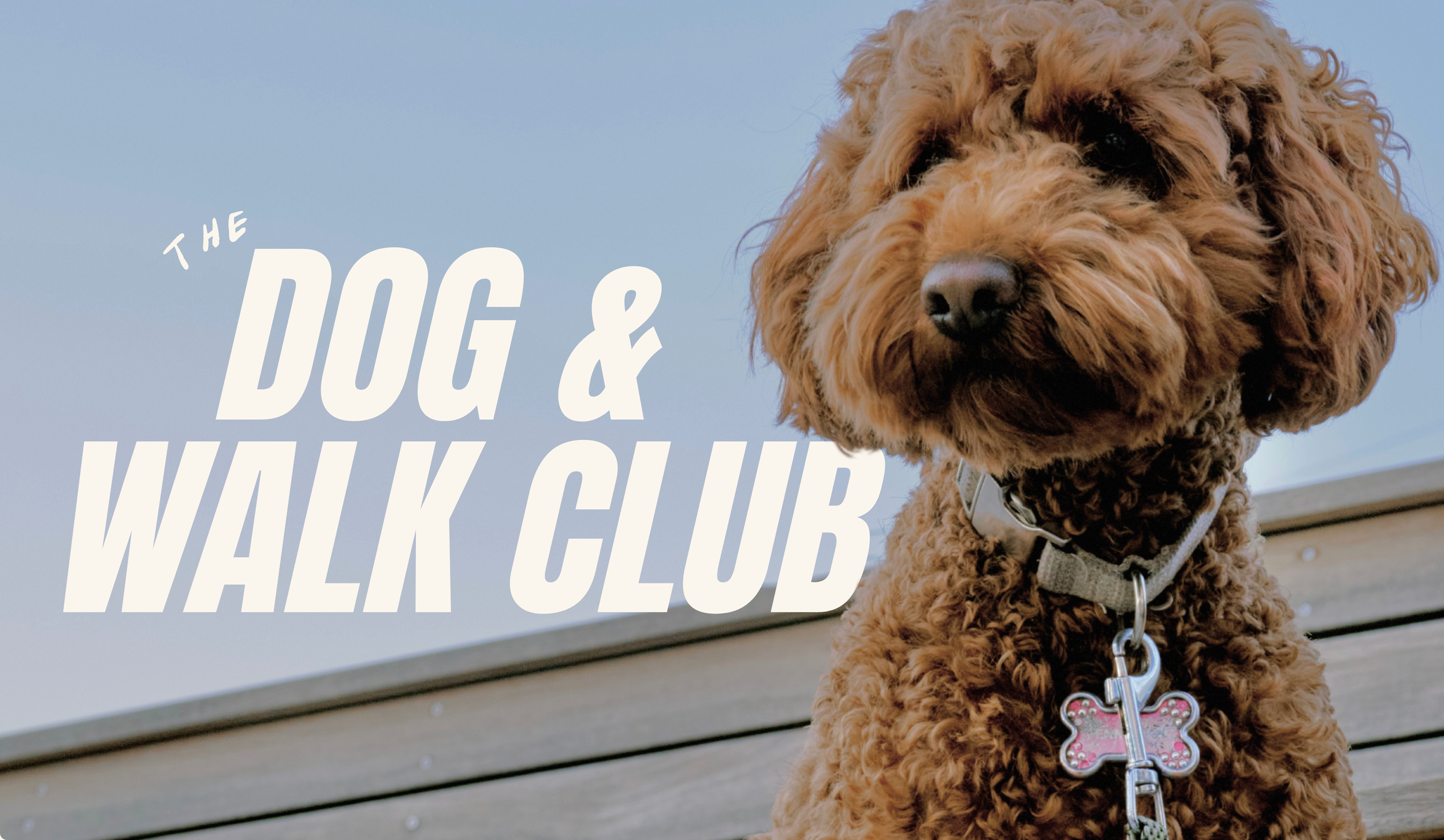 The Dog &amp; Walk Club