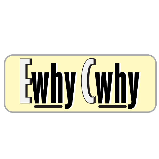 EWhyCWhy Artistry 