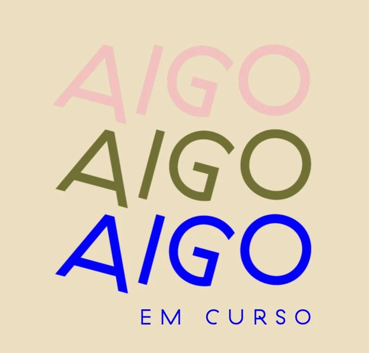 AIGO em curso: Mergulhando nas artes de Suzy Lee | Encontro 4
