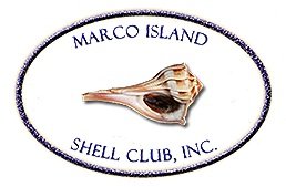 Marco Island Shell Club