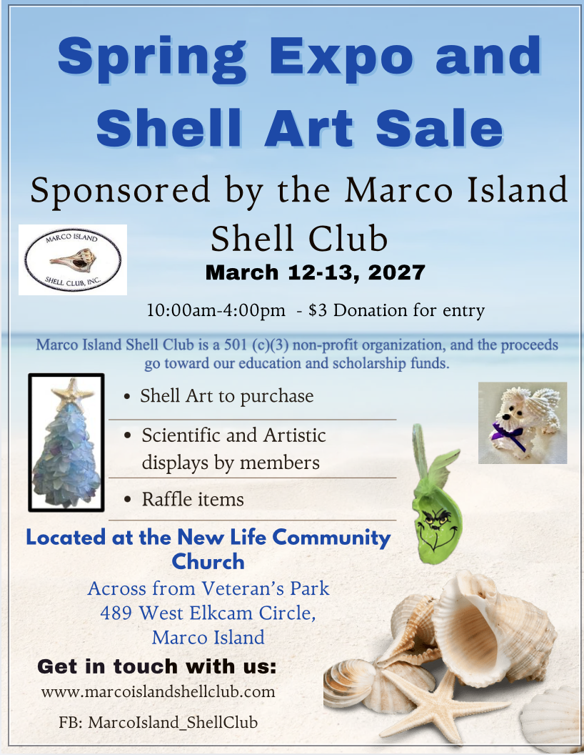 Spring Expo and Shell Art Sale