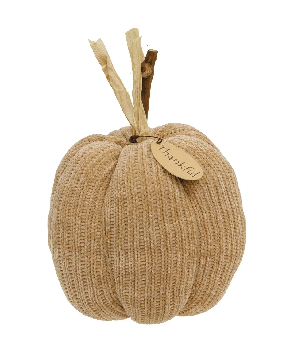 0021842_beige-thankful-sweater-pumpkin-55-dia.jpeg