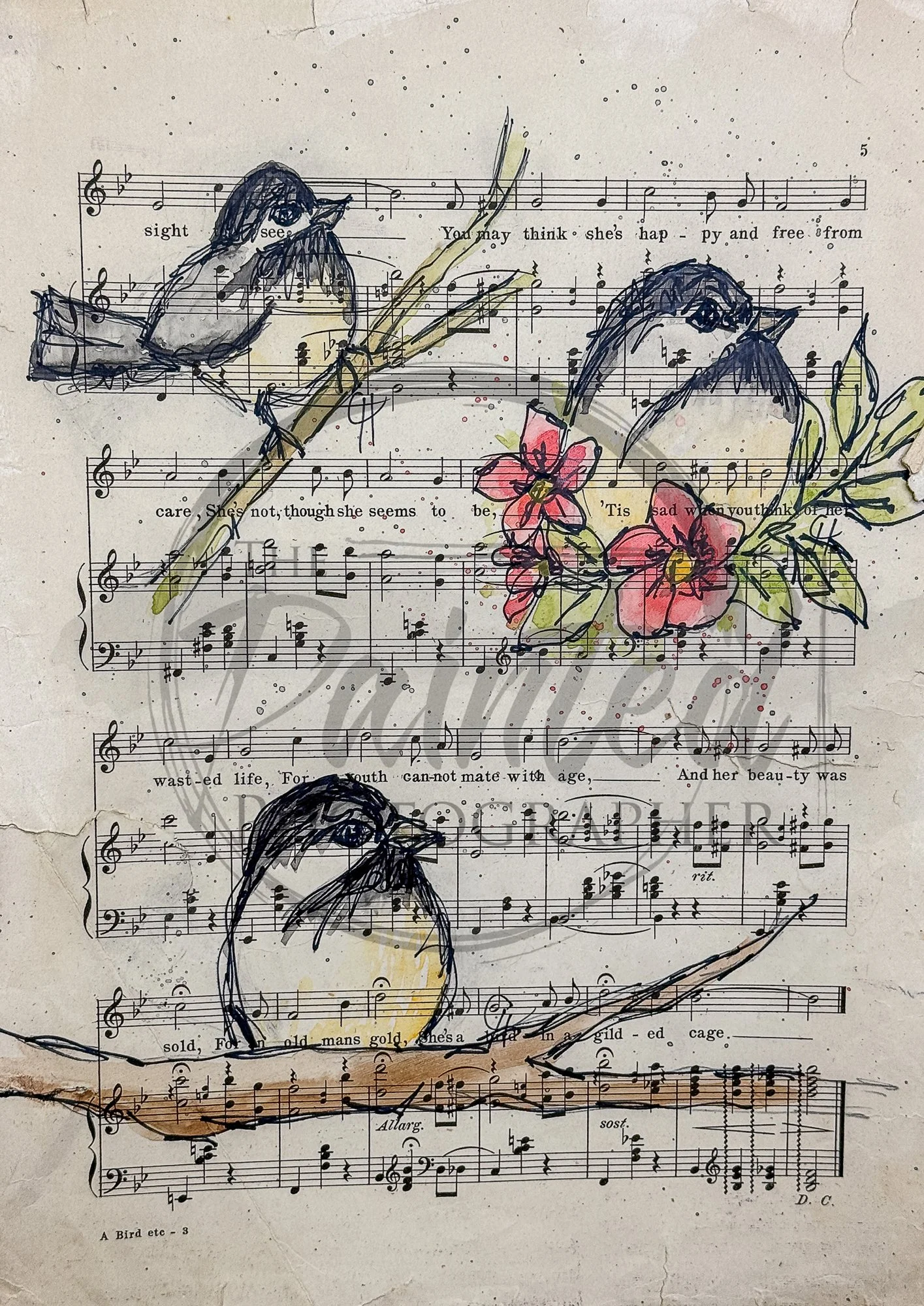 Grandmas-Songbirds_copyright-4.jpg