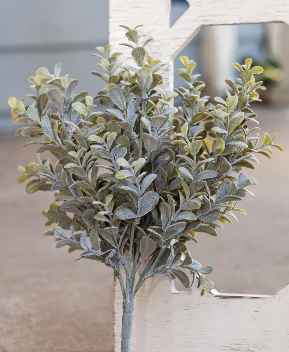 Pepple eucalypus.jpeg