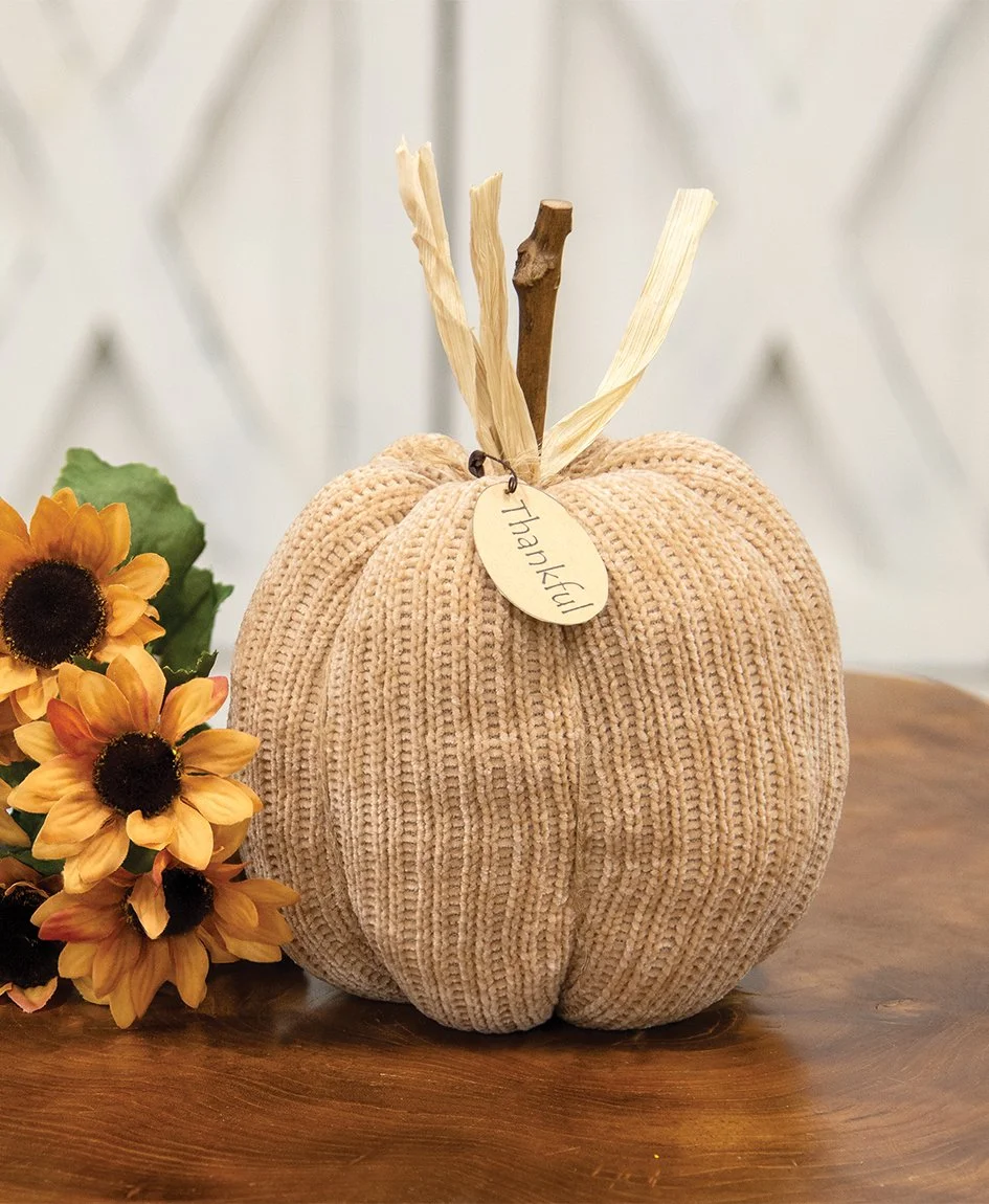 0021841_beige-thankful-sweater-pumpkin-55-dia.jpeg