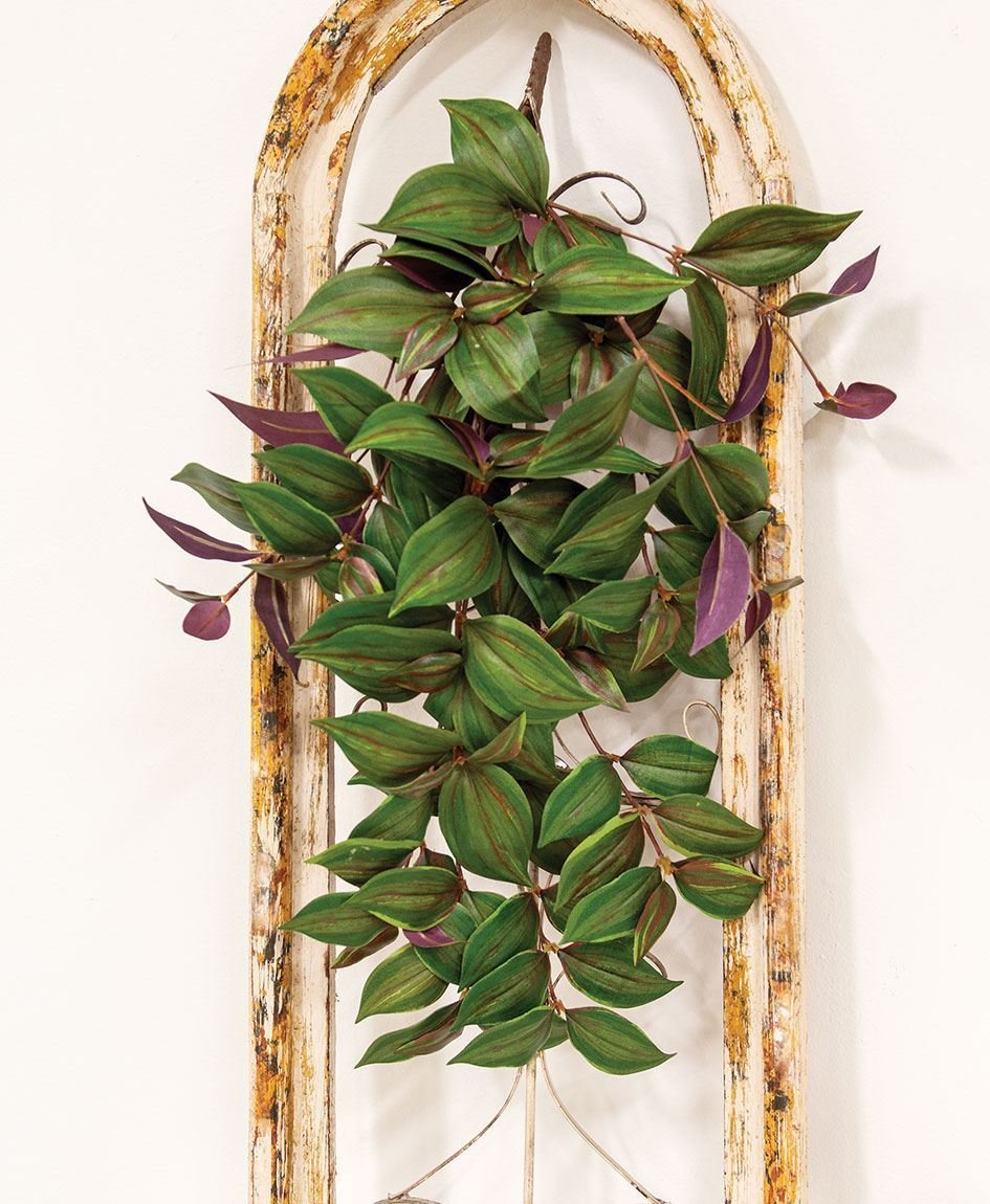 0019831_day-flower-hanging-vine-bush-25.jpeg