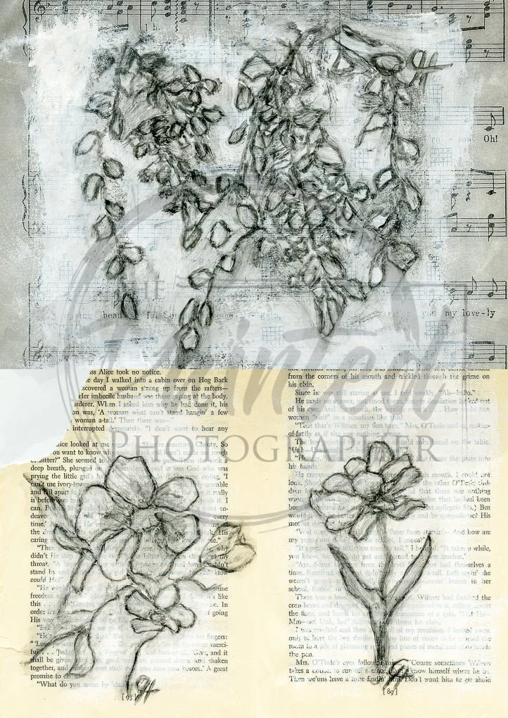 Journal Sketch 3 up No color rice paper