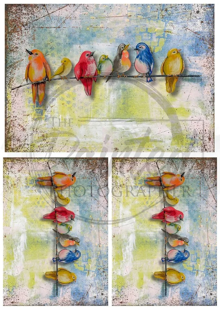 Multiple Feathered Friends with Background Rice paper