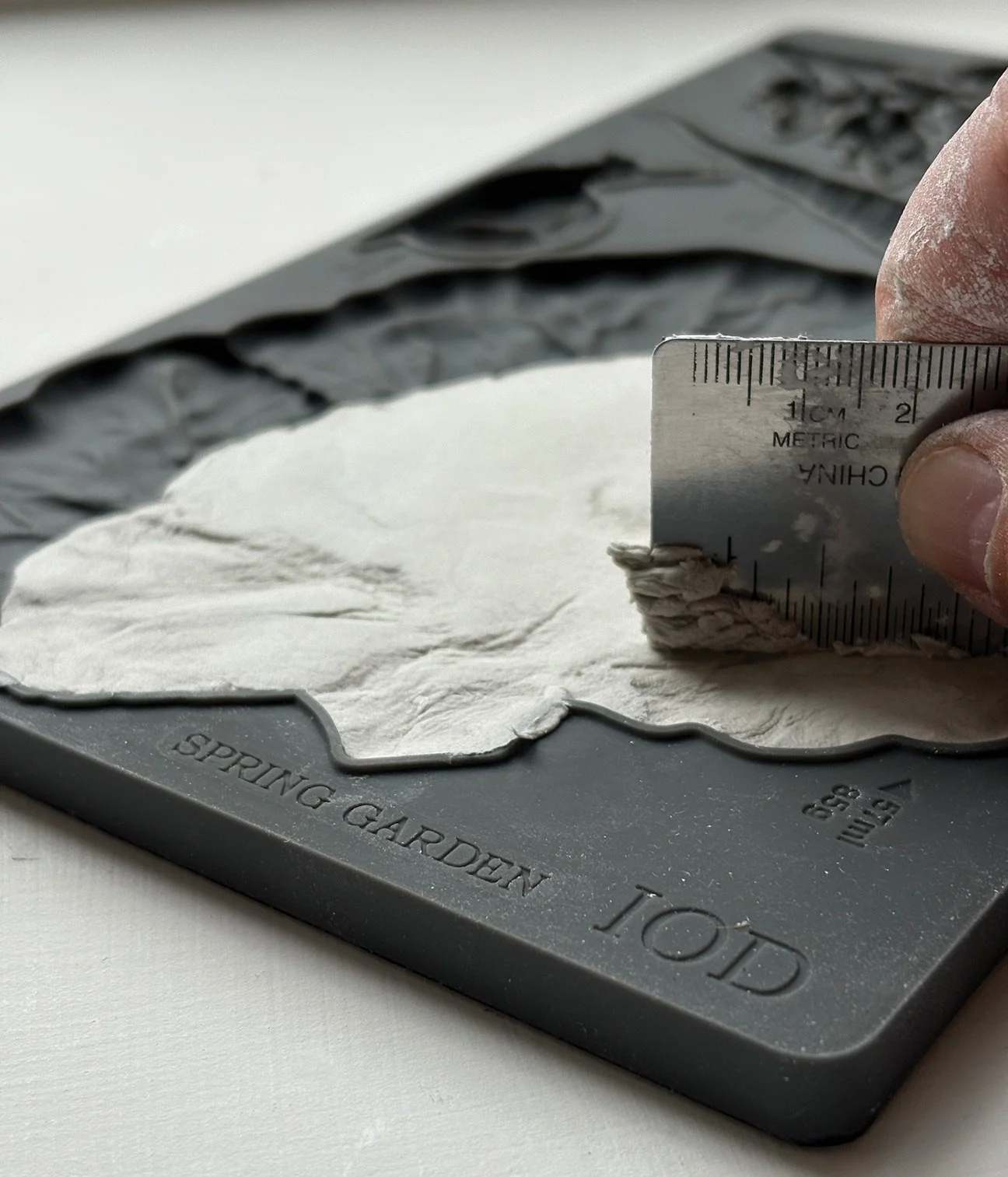 SPG Garden image 1.jpg