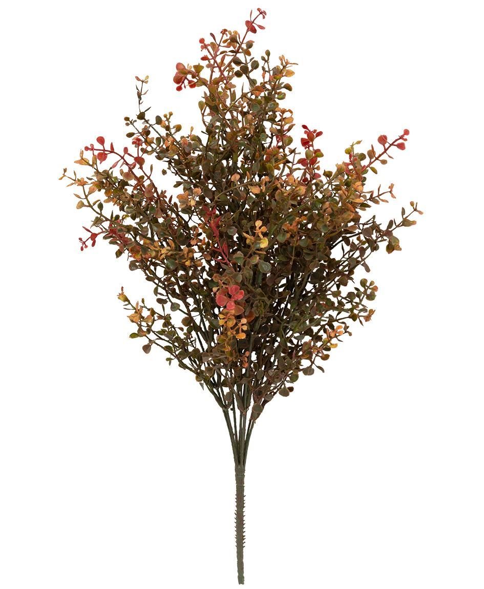 Red baby grass tem.jpeg