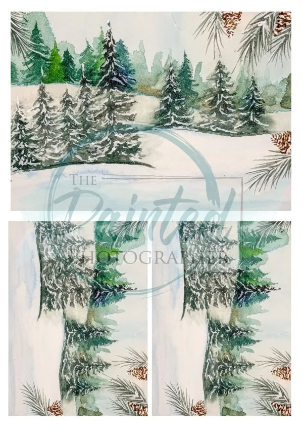 Silent-Pines-Multiple-Copyright-600x849.jpg