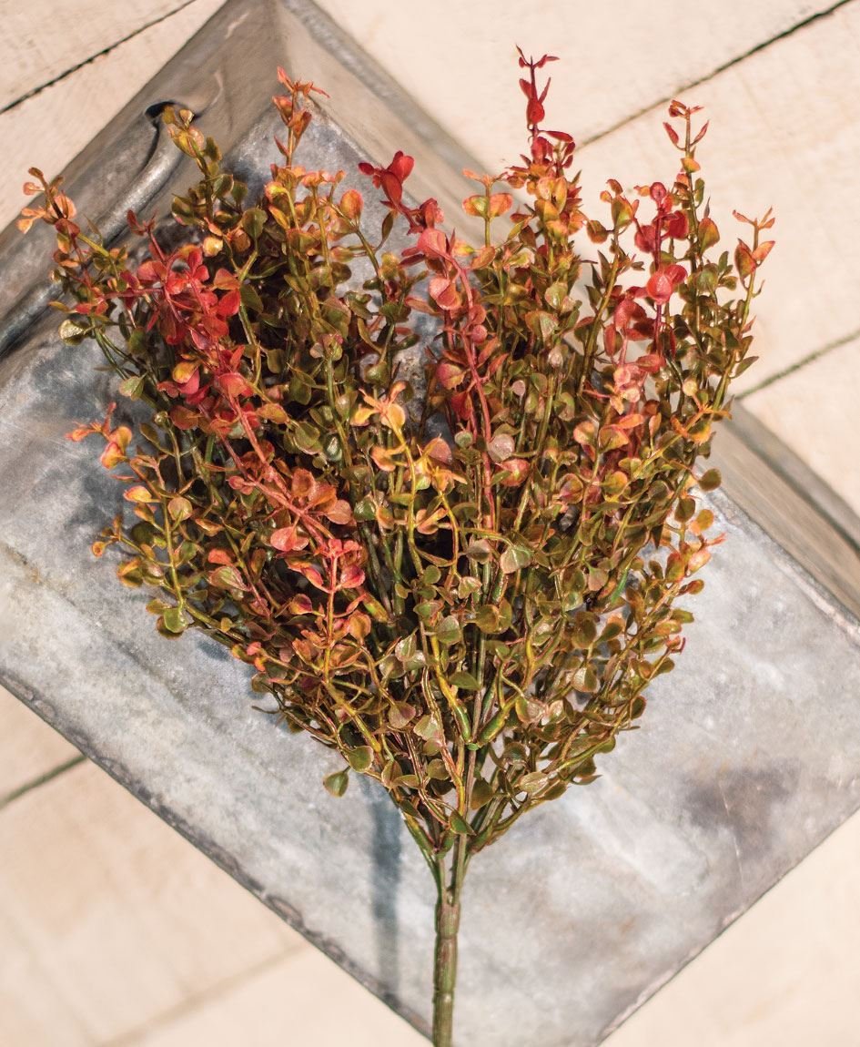 REd baby grass stem2.jpeg