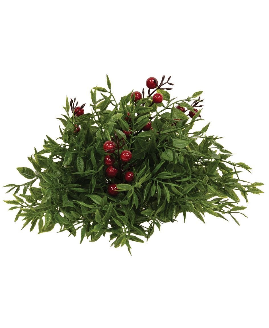 0018557_lady-ruscus-berries-half-sphere-65.jpeg