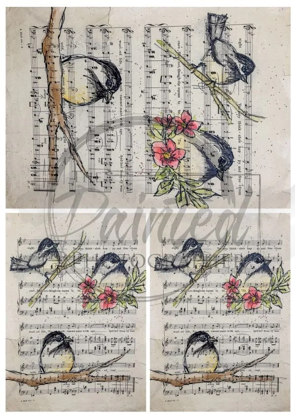 Multiple-Grandmas-Songbirds_copyright-9-600x848.jpg