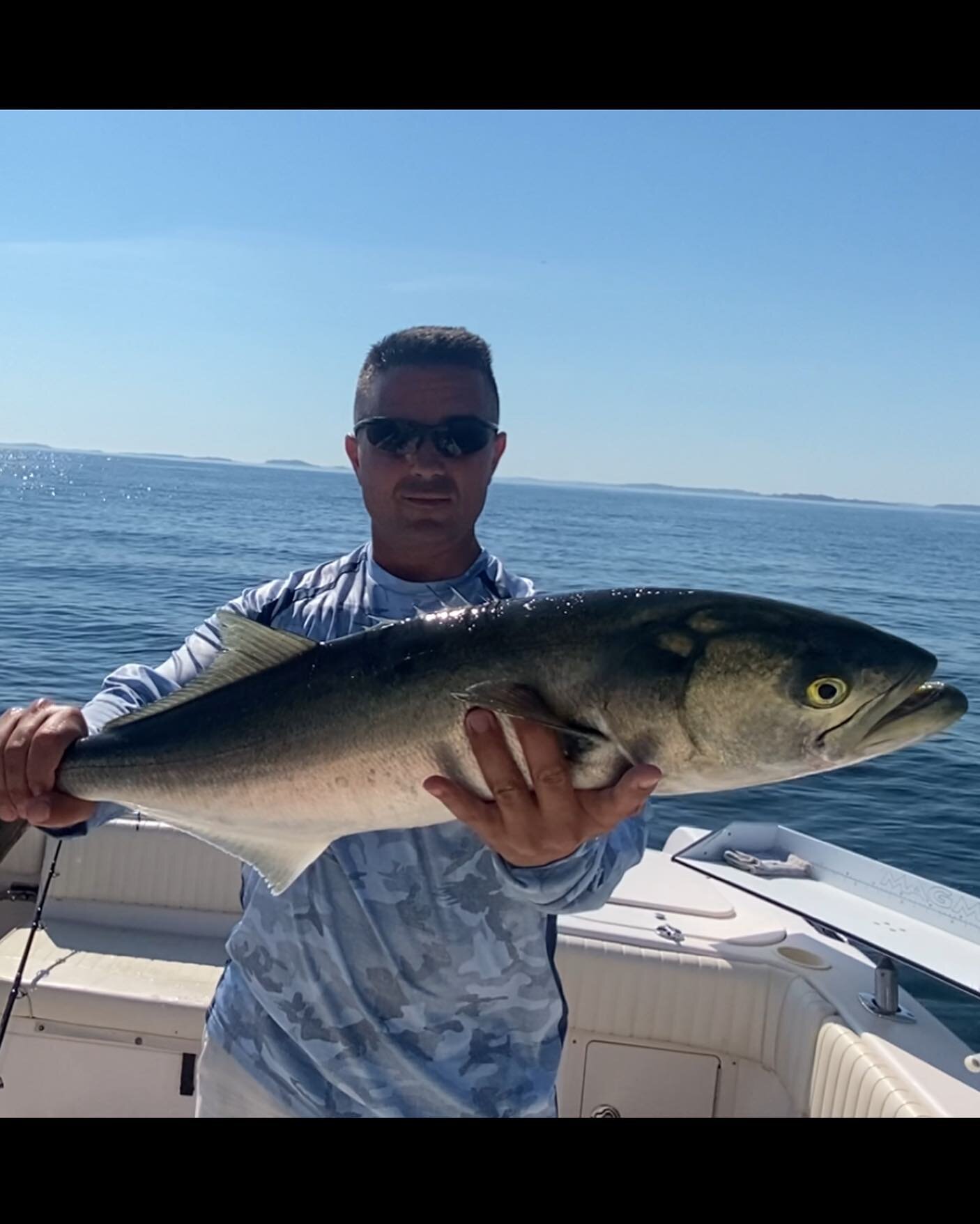 Bluefish bonanza continues this morning. Fishing solo and trying to work two lines by myself (some hook ups no less). This was the only one of many this morning that I actually had a chance to get a quick picture of. 

#bluefish 
#striperfishing 
#li