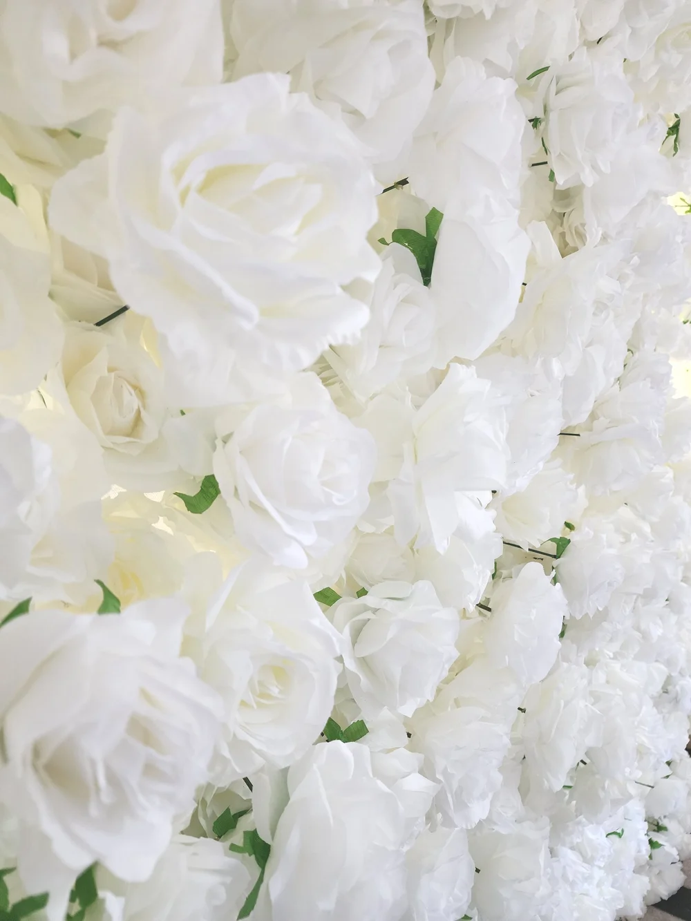Close up of the white roses on the Rose Blanc flower wall