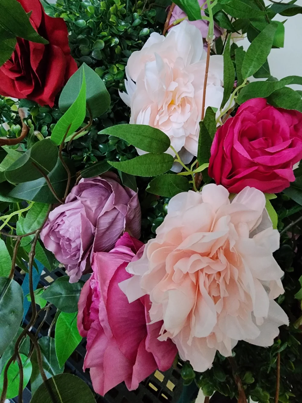 Close up of the red, pink and white roses on the Secret Garden flower wall