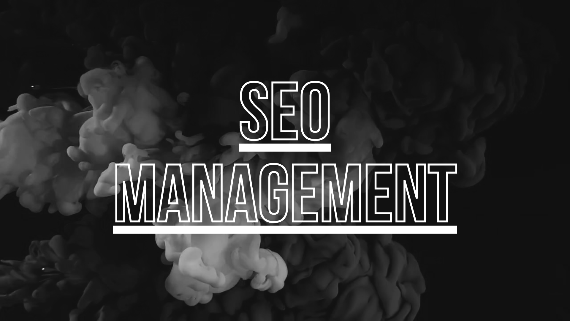 Seo Management Fallback.png