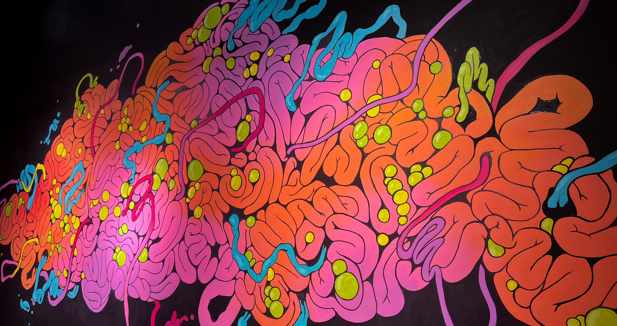 graff_guts_2.png