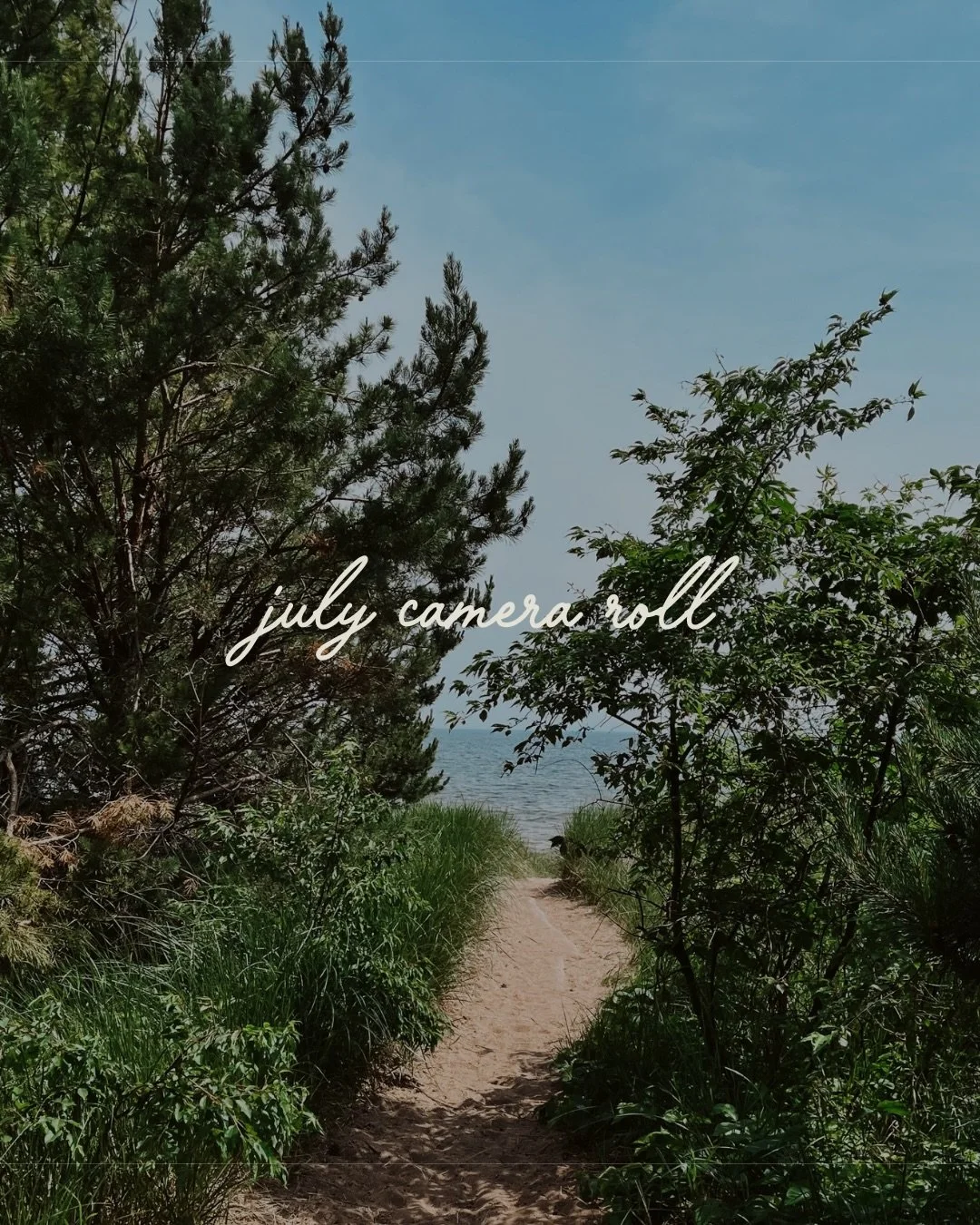July in a few photos ☀️

Finalized the cabinet plan for a kitchen renovation project

Took a few hikes with Opie and recreated his annual photo 🥹

Read as many nights as possible on the back porch, cocktail in hand.

This month I read My Friends by 