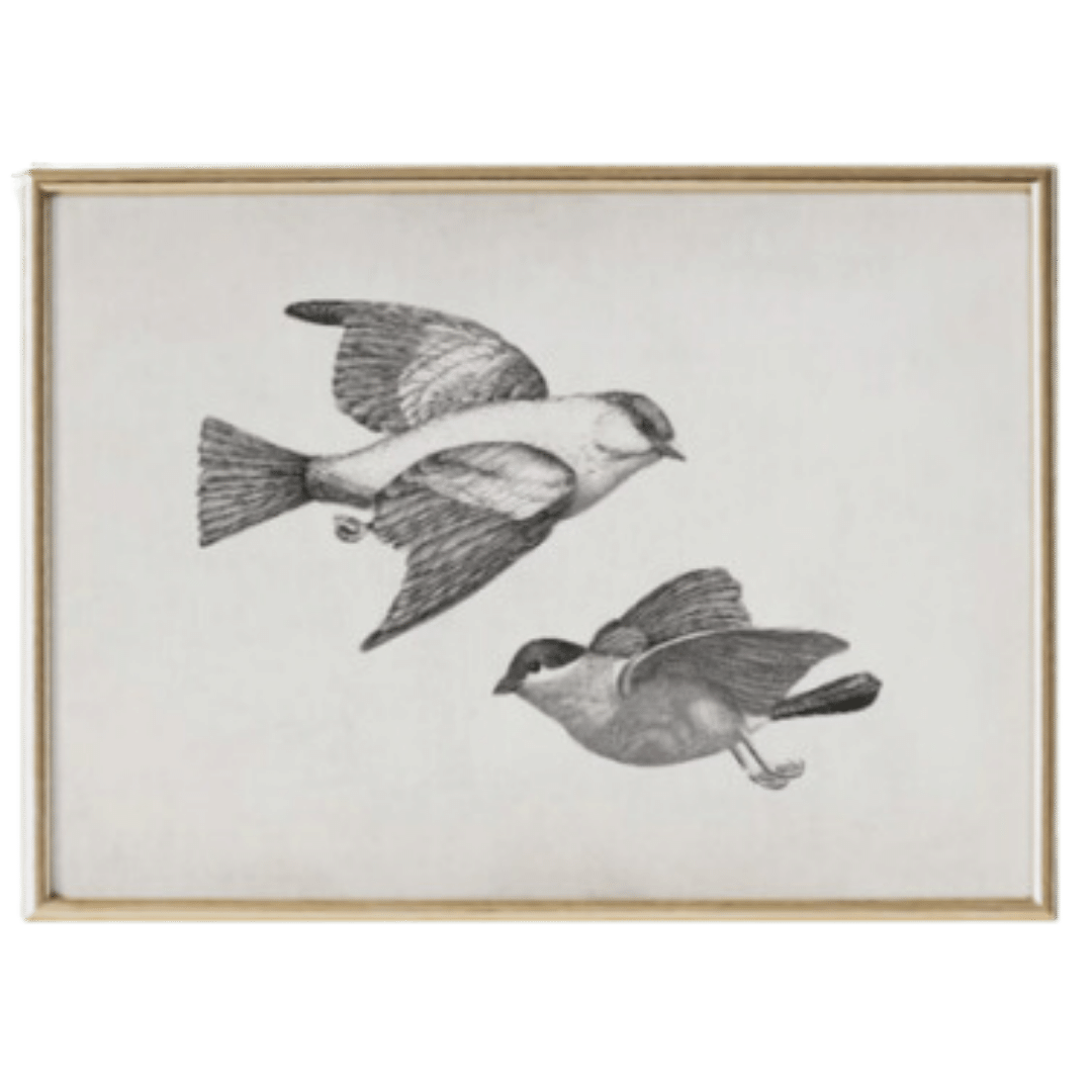 The Best Art Prints for Spring (under 5) — The Altered Abode